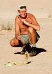 Cape Cobra - Terry Steele, Kalahari Desert, SA