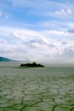 Alvord Desert-spring-16x24.jpg