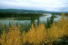 Canada Yukon River24x16.jpg