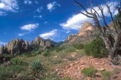 Cave Creek AZ, Silver Peak Trail