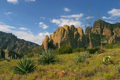 Cave Creek, AZ