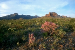 Chisos Mountains - Big Bend National Park, TX