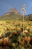 Chisos Mountains - Big Bend National Park, TX