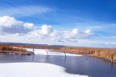 Blitzen Valley Wetland in Winter