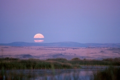 Malheur Buena Vista Moonrise