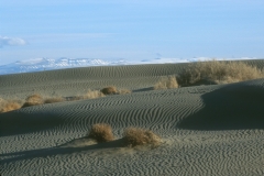 Malheur National Wildlife Refuge - Sand Dunes
