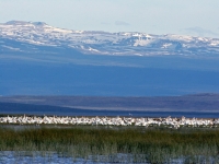 Steens Mountain