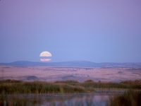 Moonrise seen from Buena Vista ponds.