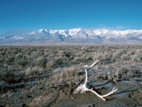 Alvord Basin & Steens Mountain