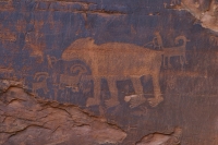 Grizzly Bear Hunt Petroglyph