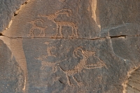 Kokopelli-like flute playing sheep