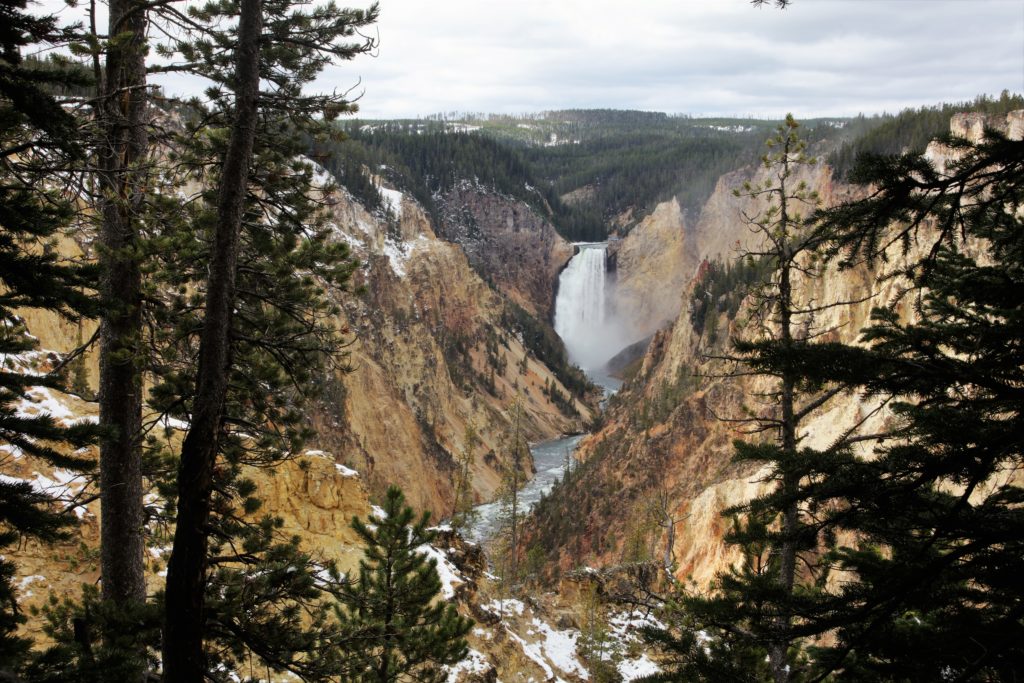 Artist Point, Lower Falls - Yellowstone National Park